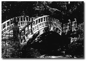 photo of bridge in dell